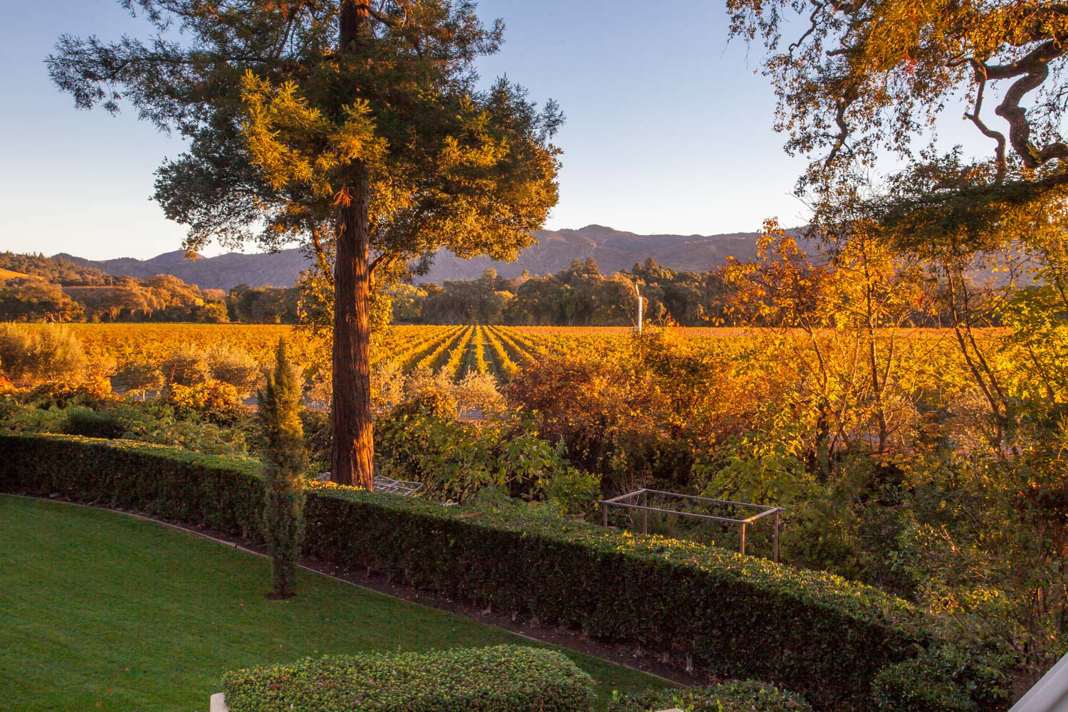 Private Residence – A Taste Of Champagne – In Napa